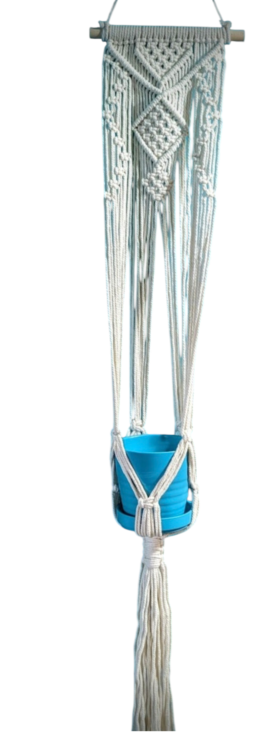 Wall Plant Hanger - small